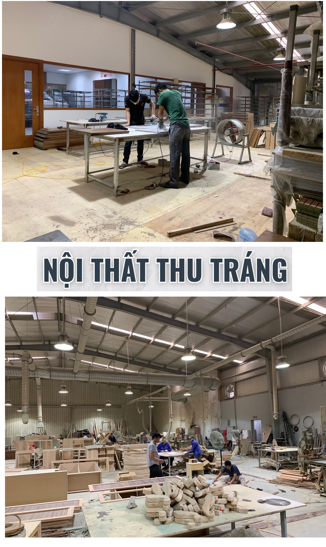 giới thiệu về Thu Tráng